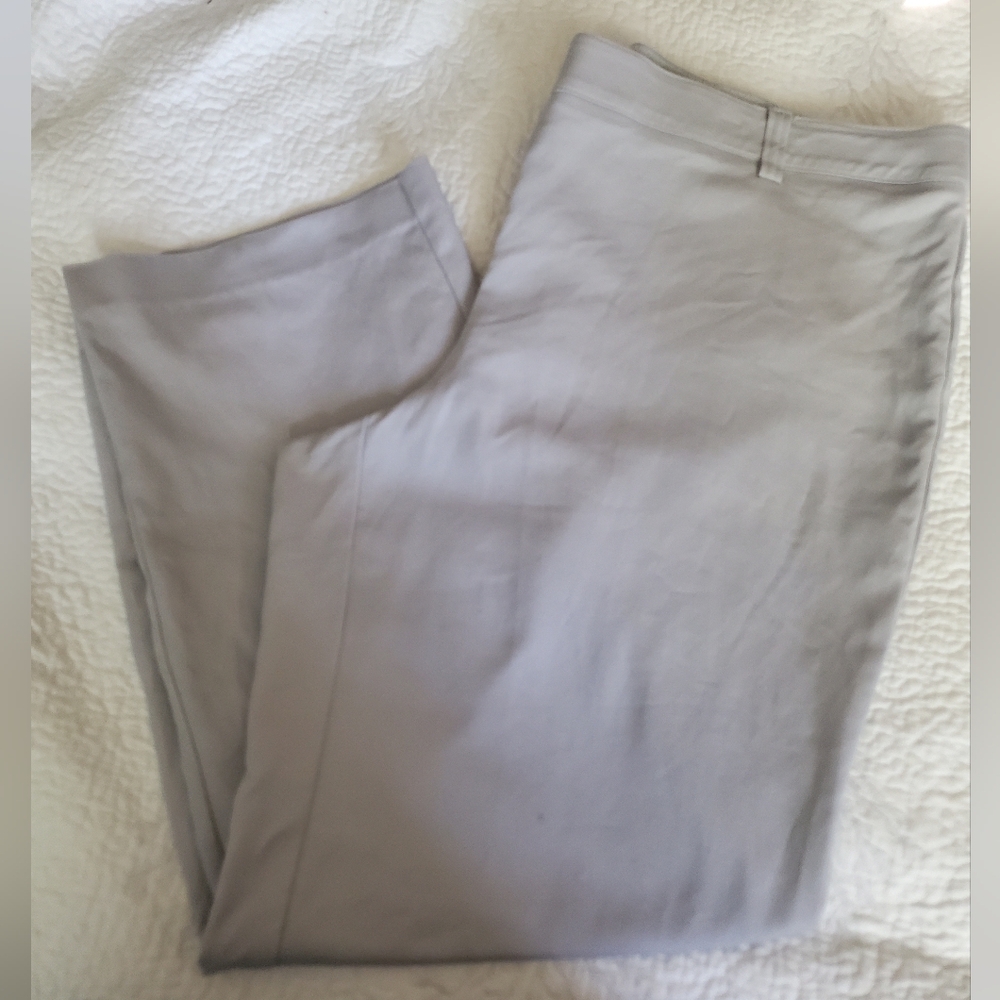 Women's size 18 Avenue chinos
